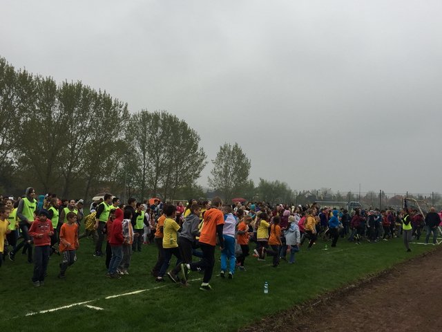 Nárcisz futás 2017 13